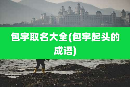 包字取名大全(包字起头的成语)