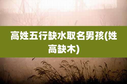 高姓五行缺水取名男孩(姓高缺木)
