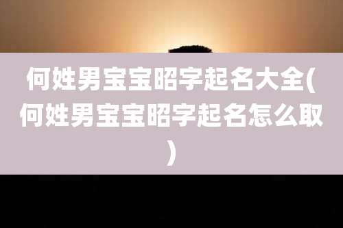 何姓男宝宝昭字起名大全(何姓男宝宝昭字起名怎么取)