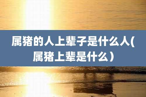 属猪的人上辈子是什么人(属猪上辈是什么)