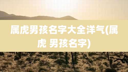 属虎男孩名字大全洋气(属虎 男孩名字)