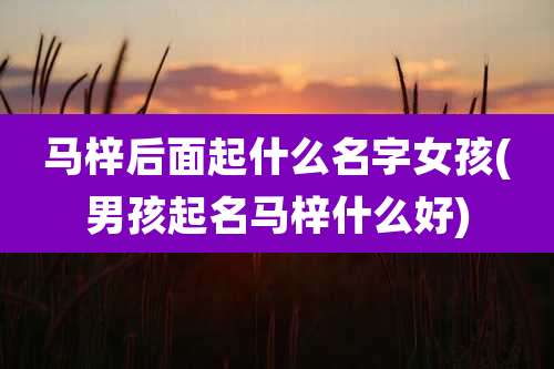 马梓后面起什么名字女孩(男孩起名马梓什么好)