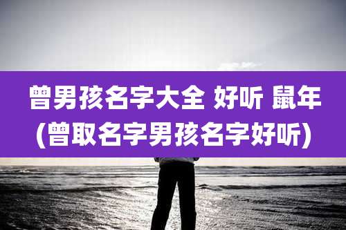 曾男孩名字大全 好听 鼠年(曾取名字男孩名字好听)