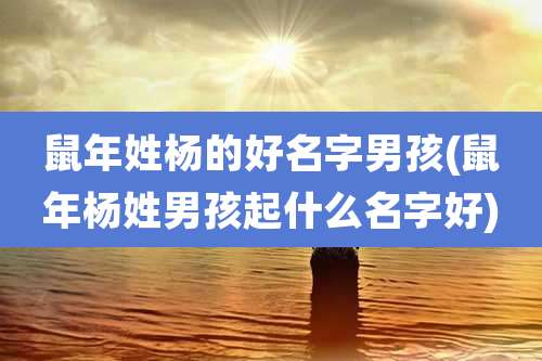 鼠年姓杨的好名字男孩(鼠年杨姓男孩起什么名字好)