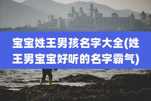 宝宝姓王男孩名字大全(姓王男宝宝好听的名字霸气)