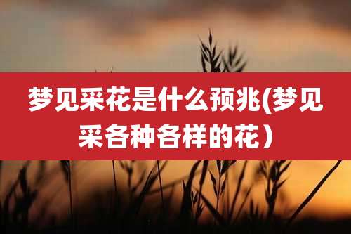 梦见采花是什么预兆(梦见采各种各样的花)