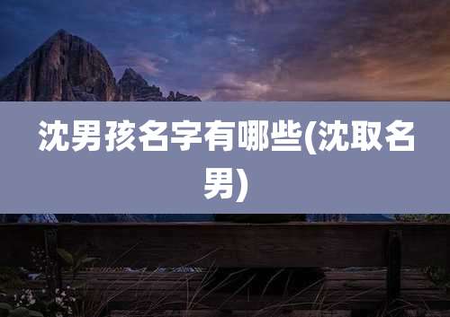 沈男孩名字有哪些(沈取名男)