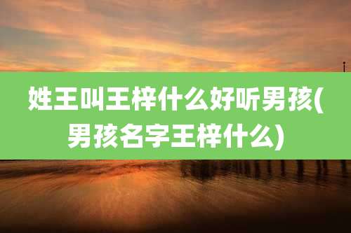 姓王叫王梓什么好听男孩(男孩名字王梓什么)