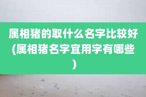 属相猪的取什么名字比较好(属相猪名字宜用字有哪些）