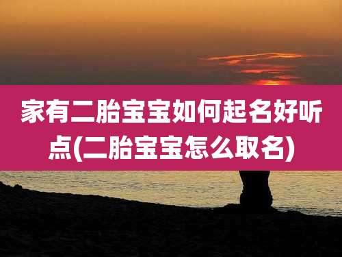 家有二胎宝宝如何起名好听点(二胎宝宝怎么取名)
