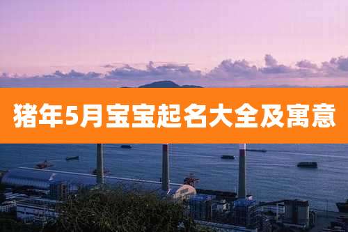 猪年5月宝宝起名大全及寓意