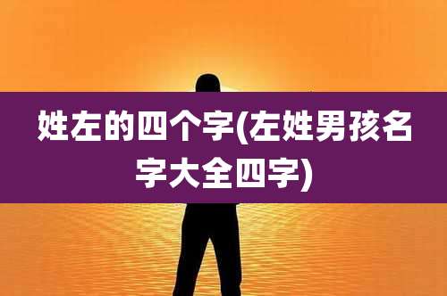 姓左的四个字(左姓男孩名字大全四字)