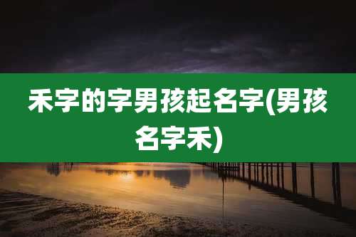 禾字的字男孩起名字(男孩名字禾)