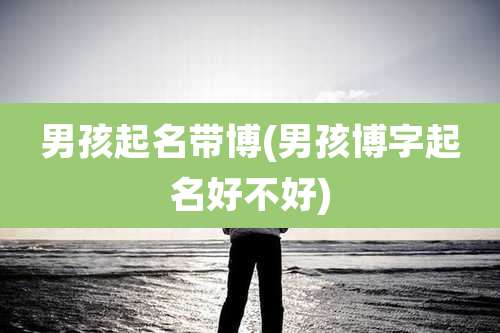 男孩起名带博(男孩博字起名好不好)