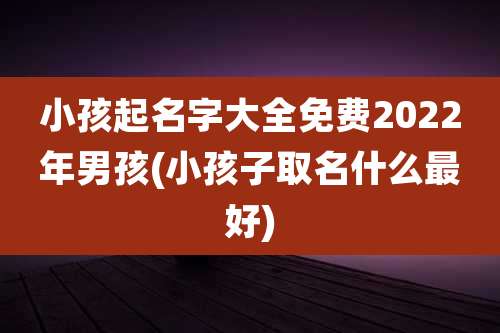 小孩起名字大全免费2022年男孩(小孩子取名什么最好)