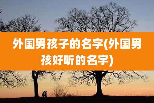 外国男孩子的名字(外国男孩好听的名字)