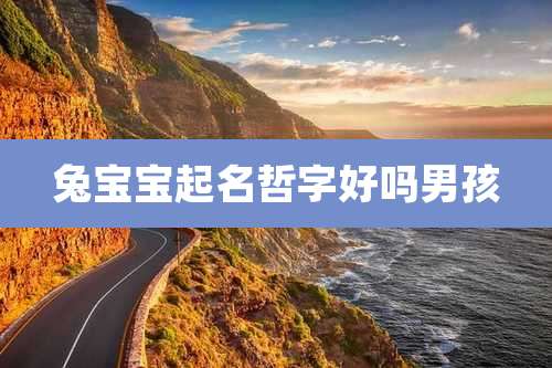 兔宝宝起名哲字好吗男孩