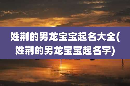 姓荆的男龙宝宝起名大全(姓荆的男龙宝宝起名字)