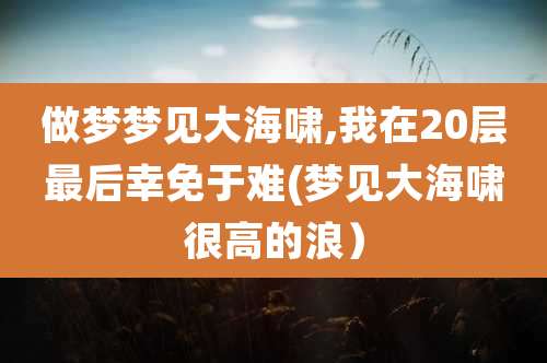 做梦梦见大海啸,我在20层最后幸免于难(梦见大海啸很高的浪）