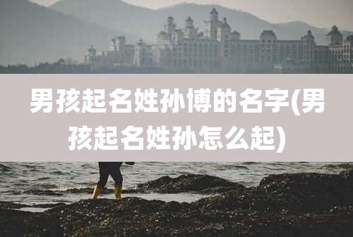 男孩起名姓孙博的名字(男孩起名姓孙怎么起)