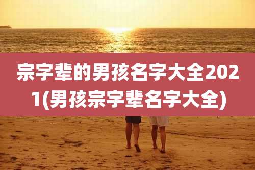 宗字辈的男孩名字大全2021(男孩宗字辈名字大全)