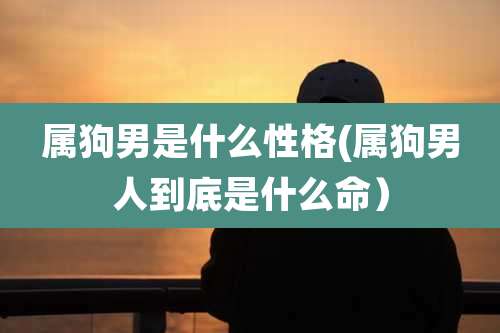 属狗男是什么性格(属狗男人到底是什么命)