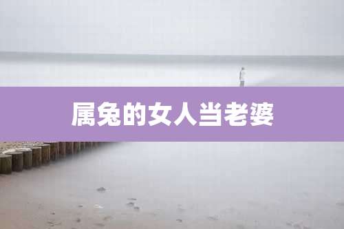 属兔的女人当老婆