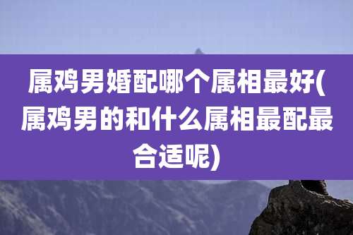 属鸡男婚配哪个属相最好(属鸡男的和什么属相最配最合适呢)