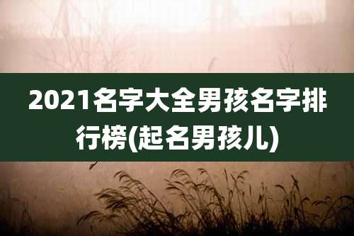 2021名字大全男孩名字排行榜(起名男孩儿)