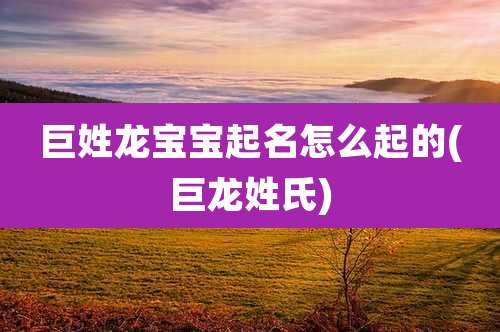 巨姓龙宝宝起名怎么起的(巨龙姓氏)