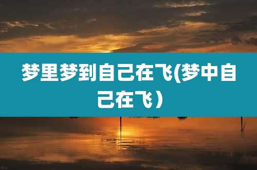 梦里梦到自己在飞(梦中自己在飞）
