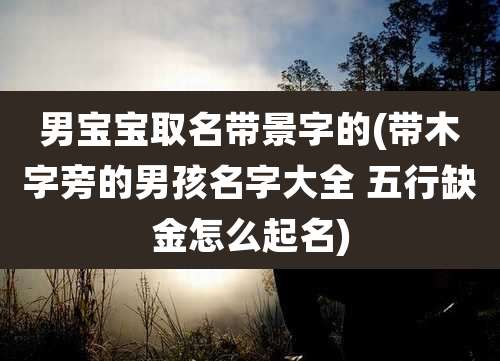 男宝宝取名带景字的(带木字旁的男孩名字大全 五行缺金怎么起名)