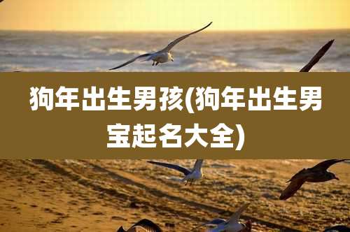 狗年出生男孩(狗年出生男宝起名大全)