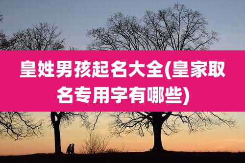 皇姓男孩起名大全(皇家取名专用字有哪些)