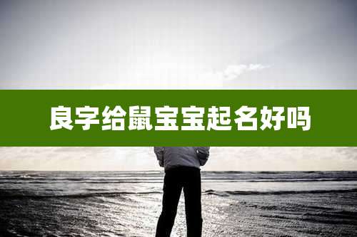 良字给鼠宝宝起名好吗