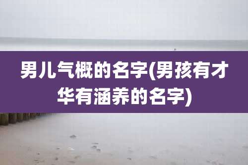 男儿气概的名字(男孩有才华有涵养的名字)