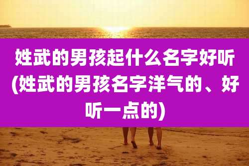 姓武的男孩起什么名字好听(姓武的男孩名字洋气的、好听一点的)