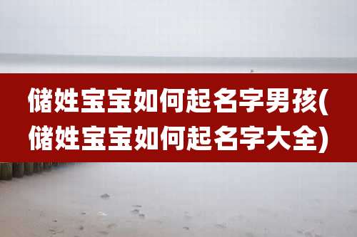 储姓宝宝如何起名字男孩(储姓宝宝如何起名字大全)
