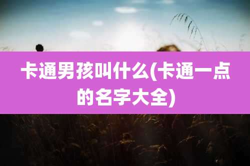 卡通男孩叫什么(卡通一点的名字大全)