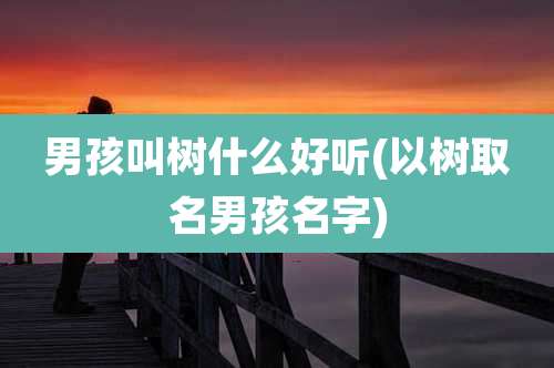 男孩叫树什么好听(以树取名男孩名字)