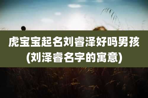 虎宝宝起名刘睿泽好吗男孩(刘泽睿名字的寓意)