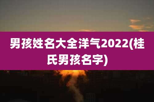 男孩姓名大全洋气2022(桂氏男孩名字)