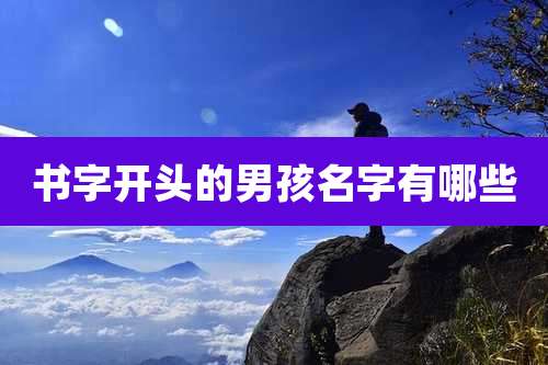 书字开头的男孩名字有哪些