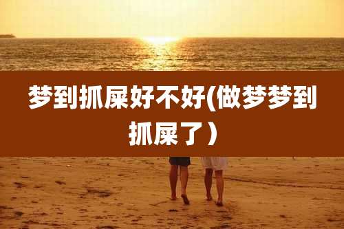 梦到抓屎好不好(做梦梦到抓屎了）