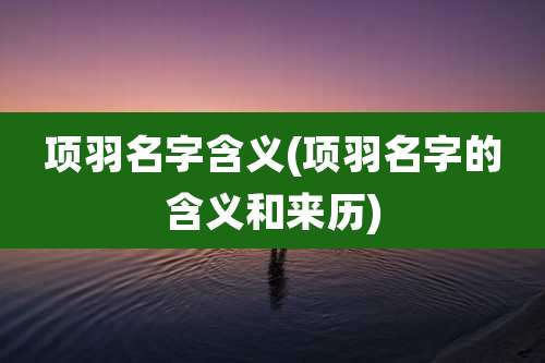 项羽名字含义(项羽名字的含义和来历)
