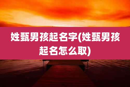姓甄男孩起名字(姓甄男孩起名怎么取)