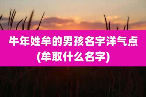 牛年姓牟的男孩名字洋气点(牟取什么名字)