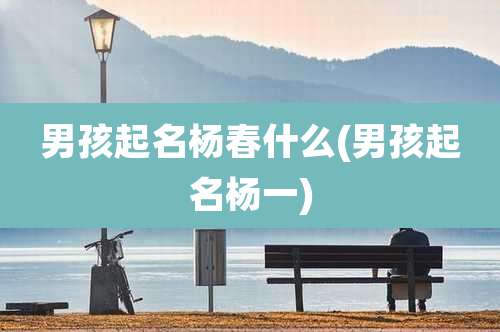 男孩起名杨春什么(男孩起名杨一)