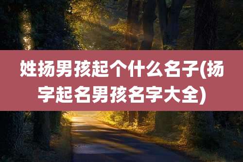 姓扬男孩起个什么名子(扬字起名男孩名字大全)