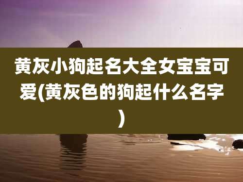 黄灰小狗起名大全女宝宝可爱(黄灰色的狗起什么名字)